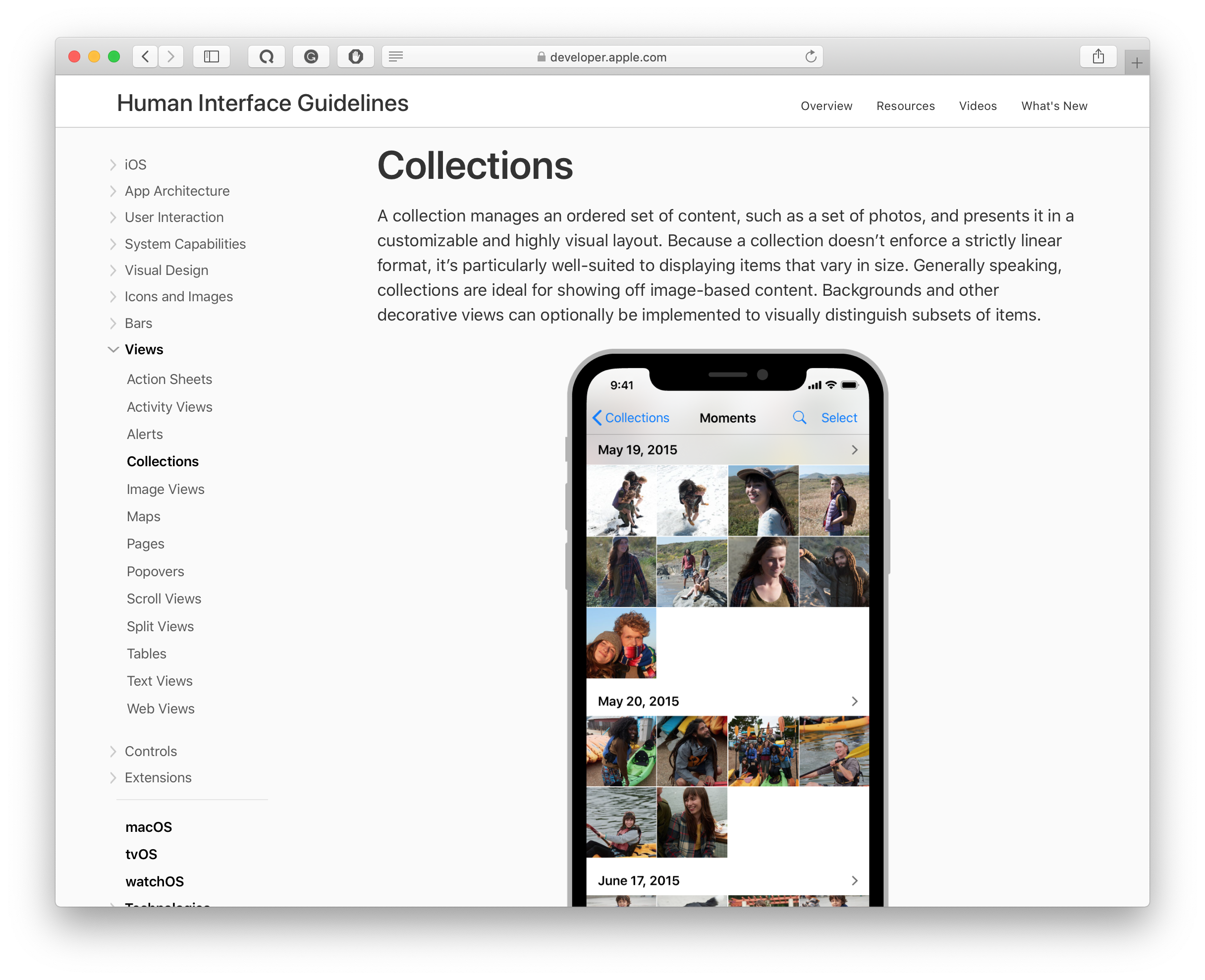collection views in apple’s human interface guidelines
