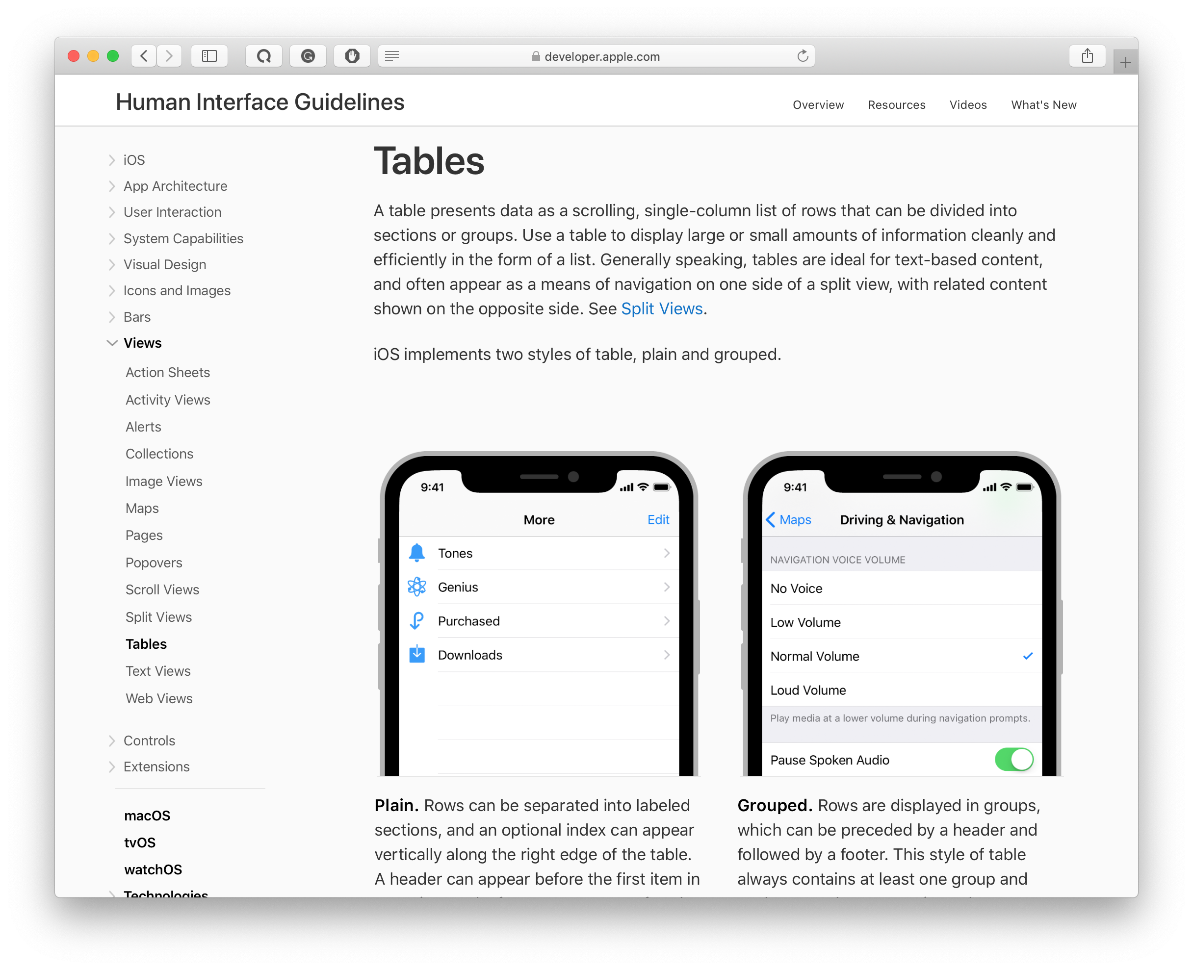 tables in apple’s human interface guidelines